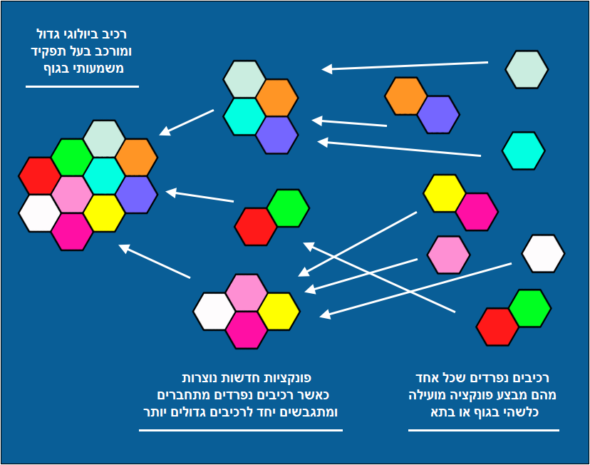 במציאות