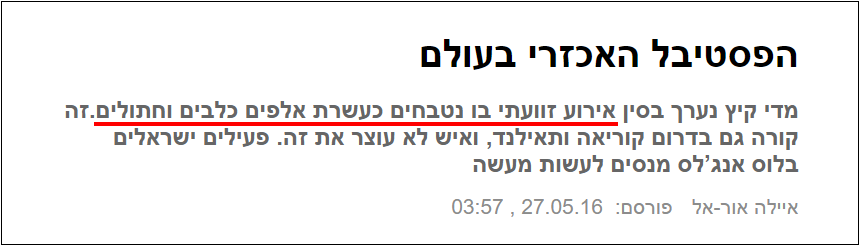 התעללות מחרידה בכלבים וחתולים עקב אמונה בהבלים