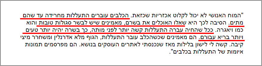 התעללות מחרידה בכלבים וחתולים עקב אמונה בהבלים