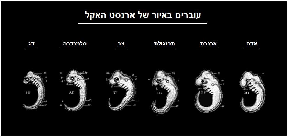 תיאור תמונה