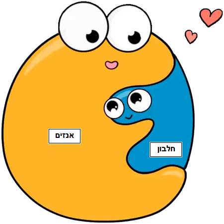 אנזים וחלבון שלב 2