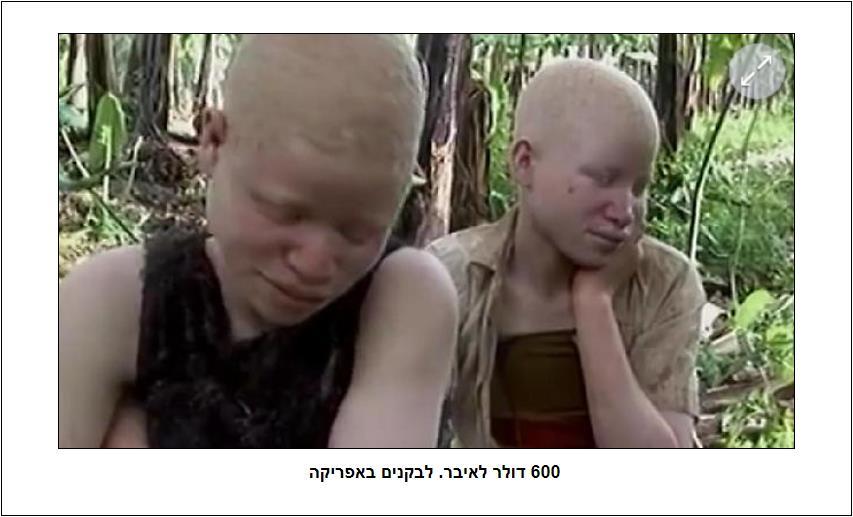 לבקנים באפריקה 2