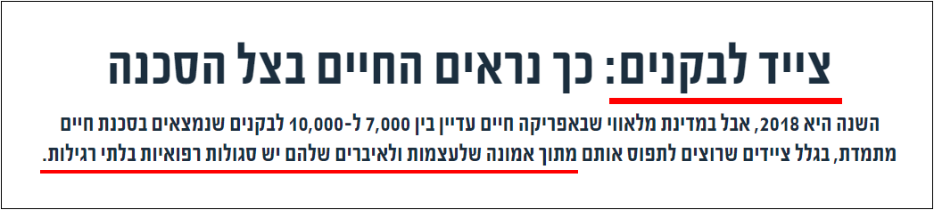 לבקנים באפריקה 5