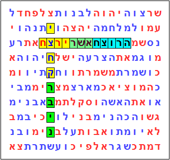 רצח יצחק רבין, המטריצה המוצגת