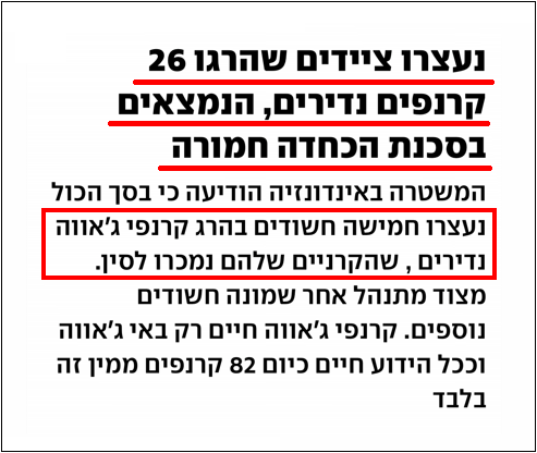 ציד קרנפים 1