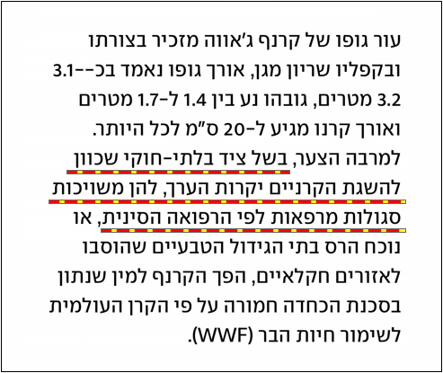 ציד קרנפים 4