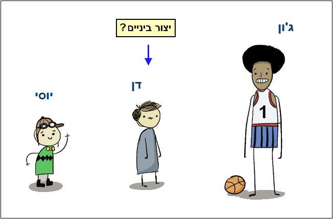 סידור מאובנים לפי גודלם